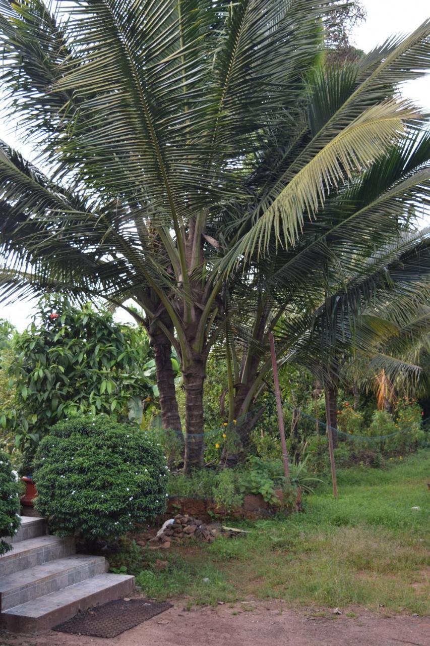 Ibbani Homestay, Siddapur Exterior photo