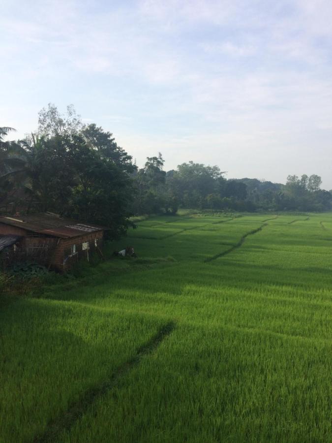 Ibbani Homestay, Siddapur Exterior photo